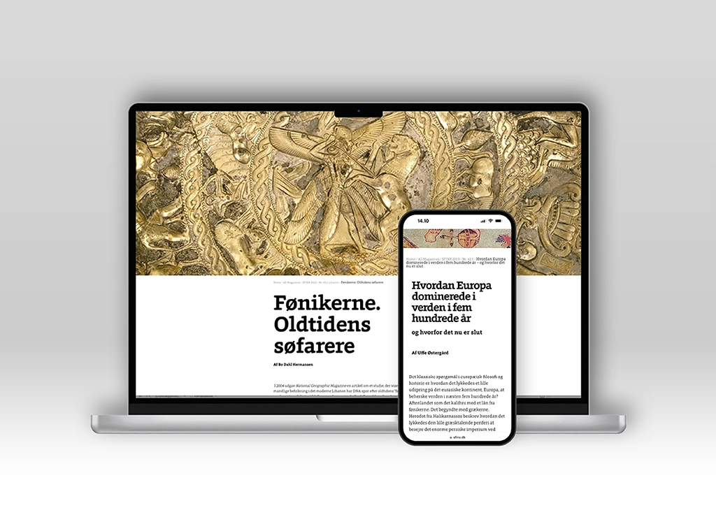 SFINX online enkelt artikel